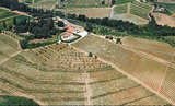 Biondi-Santi Brunello di Montalcino, 2017, Tuscany, Italy