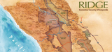 Ridge Vineyards, East Bench Zinfandel, 2019, Dry Creek Valley, Sonoma, USA