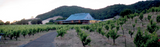 Ridge Vineyards, East Bench Zinfandel, 2019, Dry Creek Valley, Sonoma, USA