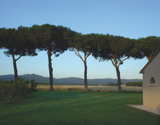 Guado al Tasso Cont'Ugo Bolgheri Italy 2022