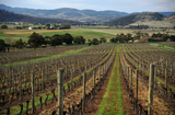 Tolpuddle Coal River Valley Chardonnay, 2022, Tasmania, Australia
